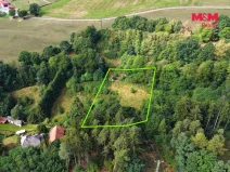 Prodej louky, Světlá nad Sázavou - Dolní Březinka, 1831 m2