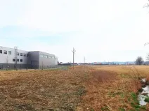 Prodej komerčního pozemku, Bor, 23653 m2