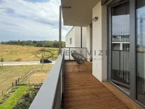 Prodej bytu 2+kk, České Budějovice, U Branišovského lesa, 52 m2