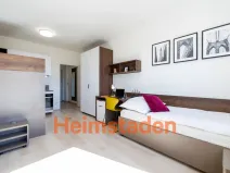 Pronájem bytu 1+kk, Plzeň - Jižní Předměstí, Magisterská, 28 m2