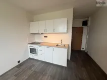 Pronájem bytu 1+1, Most, Marš. Rybalka, 35 m2