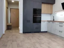 Pronájem bytu 1+1, Frýdek-Místek - Místek, Maxima Gorkého, 42 m2