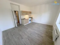 Pronájem bytu 1+kk, Praha - Michle, Hadovitá, 24 m2