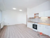 Pronájem bytu 2+kk, Mlékojedy, 52 m2