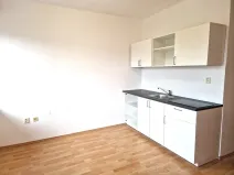 Pronájem bytu 1+kk, Olešná, 22 m2