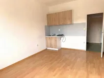 Pronájem bytu 1+kk, Olešná, 22 m2