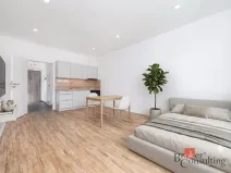 Pronájem bytu 1+kk, Plzeň - Jižní Předměstí, Železná, 35 m2