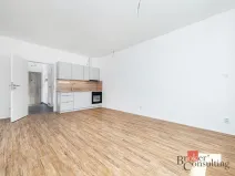 Pronájem bytu 1+kk, Plzeň - Jižní Předměstí, Železná, 35 m2