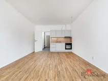 Pronájem bytu 1+kk, Plzeň - Jižní Předměstí, Železná, 35 m2
