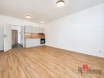 Pronájem bytu 1+kk, Plzeň - Jižní Předměstí, Železná, 35 m2