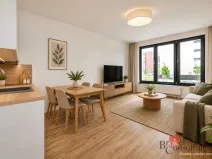 Pronájem bytu 1+kk, Plzeň - Jižní Předměstí, Železná, 35 m2