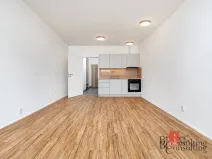 Pronájem bytu 1+kk, Plzeň - Jižní Předměstí, Železná, 35 m2