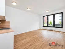 Pronájem bytu 1+kk, Plzeň - Jižní Předměstí, Železná, 35 m2