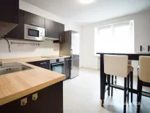 Pronájem bytu 1+1, Brno - Trnitá, Křenová, 48 m2