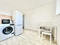 Pronájem bytu 1+1, Český Těšín, Sídliště ONV, 30 m2