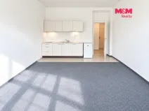 Prodej bytu 1+kk, Praha - Michle, Hanusova, 29 m2