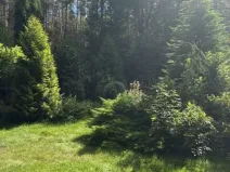 Prodej rodinného domu, Veselíčko - Bilina, 50 m2