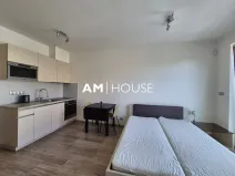 Pronájem bytu 1+kk, Praha - Vysočany, Bassova, 30 m2