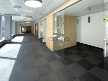Pronájem obchodního prostoru, Praha, Plzeňská, 194 m2