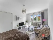 Prodej bytu 1+1, Jihlava, U Hřbitova, 34 m2