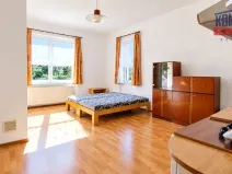 Pronájem bytu 1+kk, České Budějovice - České Budějovice 3, Pekárenská, 30 m2
