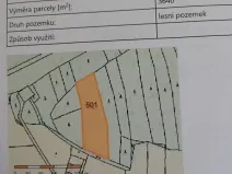 Prodej lesa, Čermná, 11600 m2