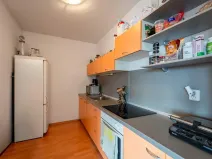 Pronájem bytu 3+kk, Olomouc, Palackého, 70 m2