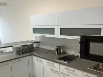 Pronájem bytu 1+1, Praha - Karlín, Thámova, 46 m2