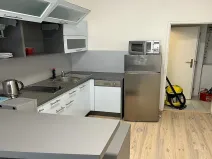 Pronájem bytu 1+1, Praha - Karlín, Thámova, 46 m2