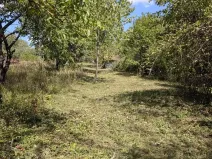 Prodej zahrady, Brno, Zaječí hora, 490 m2