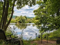 Prodej louky, Lety, 185 m2