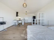 Pronájem bytu 1+kk, Jihlava, Okružní, 45 m2