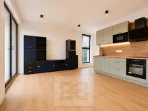 Pronájem bytu 1+kk, Brno, Pod Kavkami, 40 m2