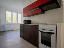 Pronájem bytu 2+1, Chomutov, Arbesova, 62 m2