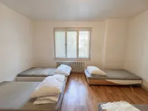 Pronájem ubytování, Plzeň, Mánesova, 305 m2