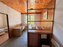 Pronájem ubytování, Plzeň, Mánesova, 305 m2