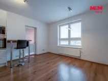 Pronájem bytu 2+kk, Plzeň - Jižní Předměstí, U Borských kasáren, 44 m2