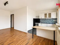 Prodej bytu 2+1, Bílina - Pražské Předměstí, Aléská, 48 m2