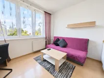 Pronájem bytu 1+kk, Karlovy Vary, Fibichova, 18 m2