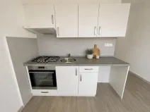 Pronájem bytu 1+1, Litvínov, Mládežnická, 38 m2