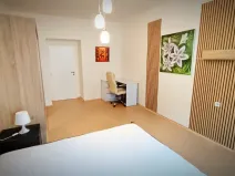 Pronájem bytu 2+kk, Plzeň - Východní Předměstí, Sladkovského, 55 m2