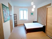 Pronájem bytu 2+kk, Plzeň - Východní Předměstí, Sladkovského, 55 m2