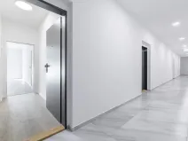 Prodej bytu 1+kk, České Budějovice, U Branišovského lesa, 46 m2