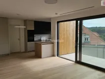 Pronájem bytu 4+kk, Praha - Motol, Pod Homolkou, 120 m2
