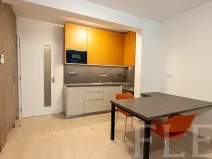 Pronájem bytu 1+kk, Praha - Žižkov, Hartigova, 36 m2