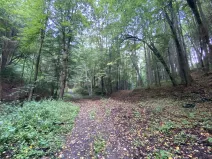 Prodej louky, Strážná, 212 m2