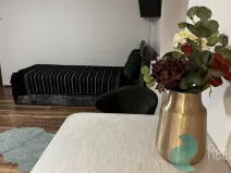Pronájem bytu 1+kk, České Budějovice, Boh. Kafky, 29 m2