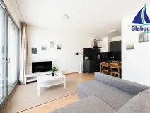 Pronájem bytu 1+kk, Praha - Karlín, Breitfeldova, 45 m2