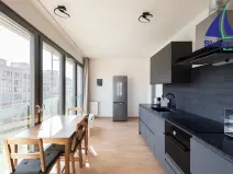 Pronájem bytu 1+kk, Praha - Karlín, Breitfeldova, 63 m2