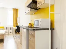 Pronájem bytu 1+kk, Brno, Hybešova, 22 m2
